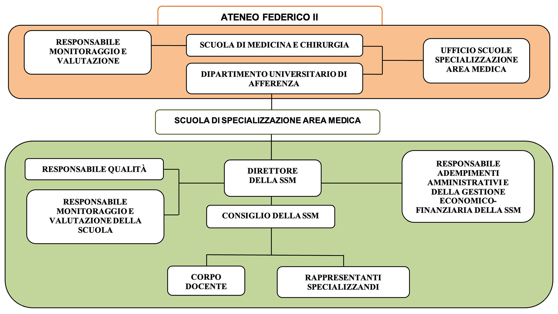 organigramma scuola di specializzazione malattie infettive tropicali